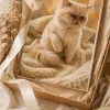 Chat Prisme - 3
