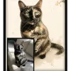 Chat Encre du Japon - 2