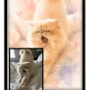 Chat Aquarelle Pastel - 2