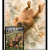 Chien Botanique - 2