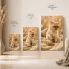 Chat Prisme - 5