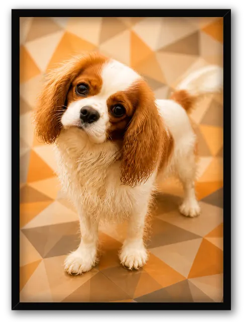 Chien Prisme