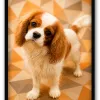 Chien Prisme - 1