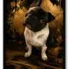 Chien Or Noir - 1