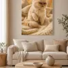 Chat Prisme - 4