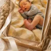 Naissance Prisme - 3