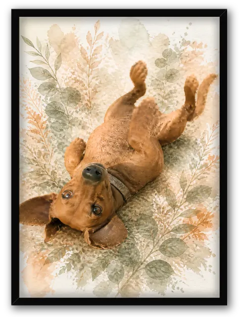 Chien Botanique