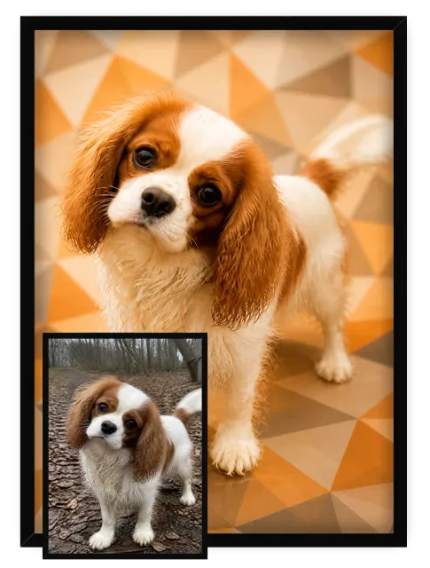 Chien Prisme - 2