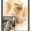 Chat Aquarelle Dorée - 2