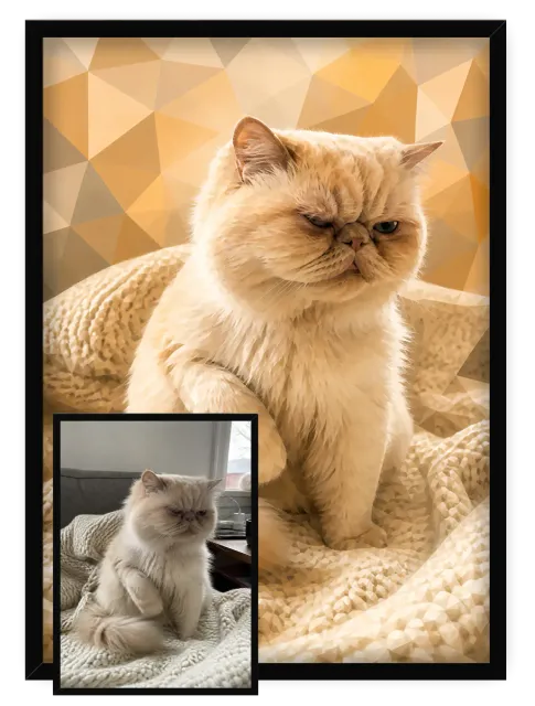 Chat Prisme - 2
